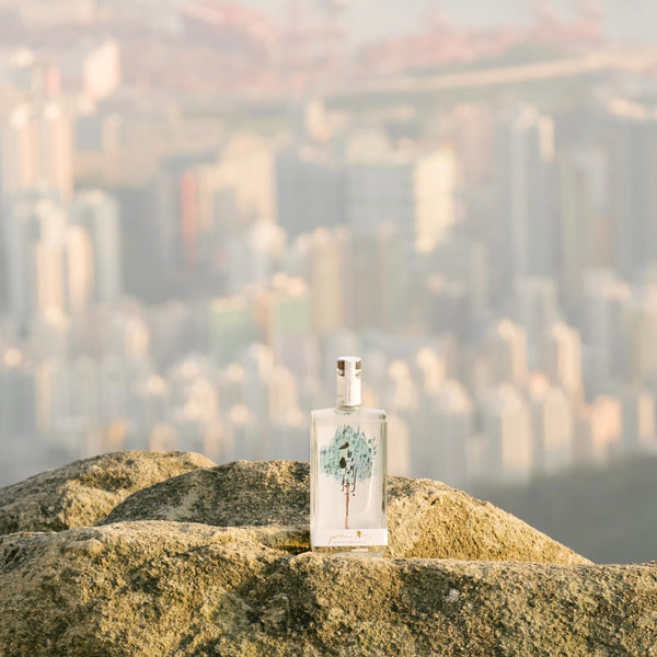 白蘭樹下 Perfume Trees Gin 500ml