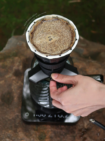 DragonFly Tri-Spin CT Flat Dripper (255ml) - Urban Coffee Roaster